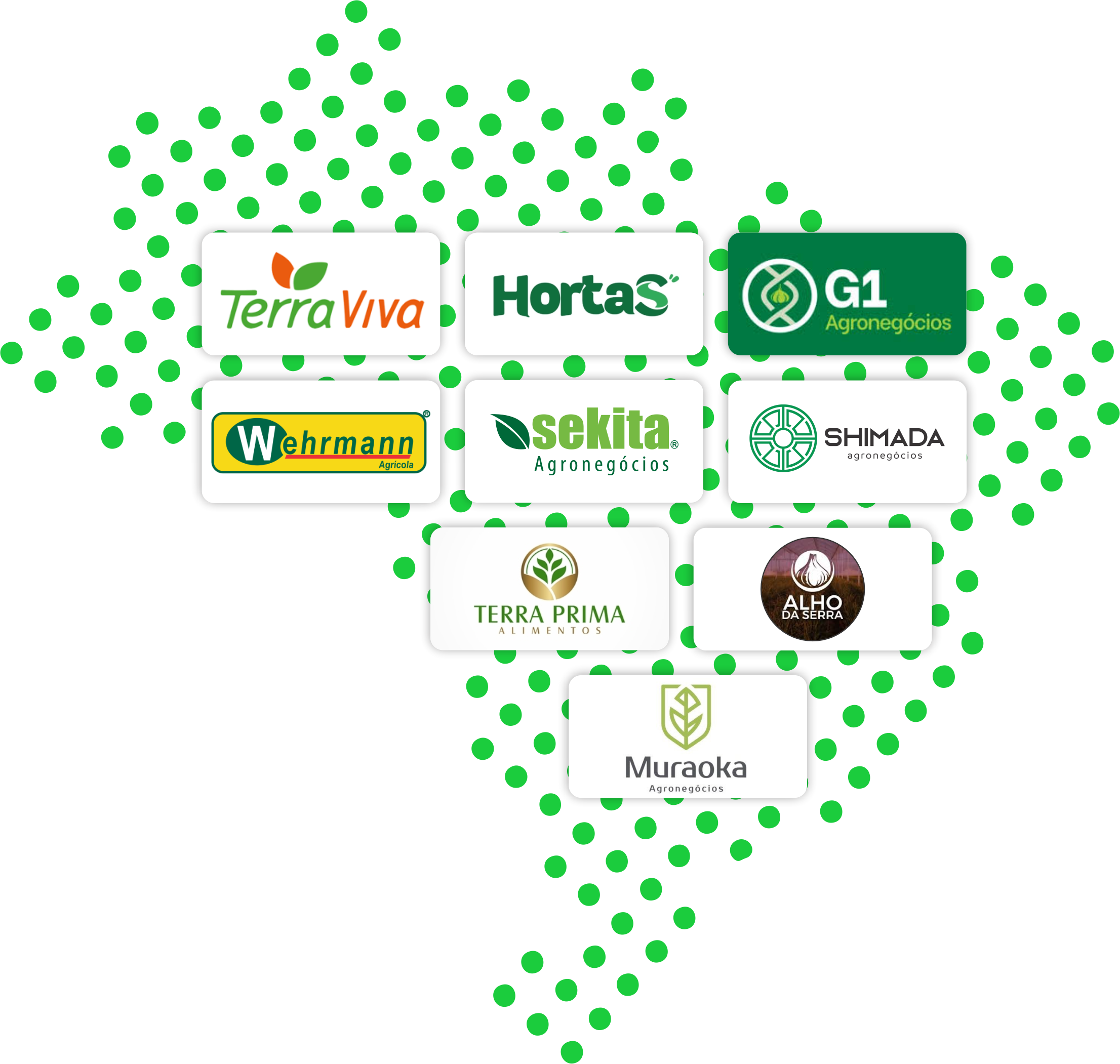 Parceiros e produtores de alho que acompanham lotes com a Teigro no Brasil